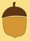 sq acorn